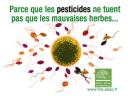 medium_visuel-pesticides-fne.jpg