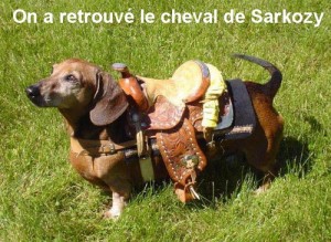 cheval-de-sarko